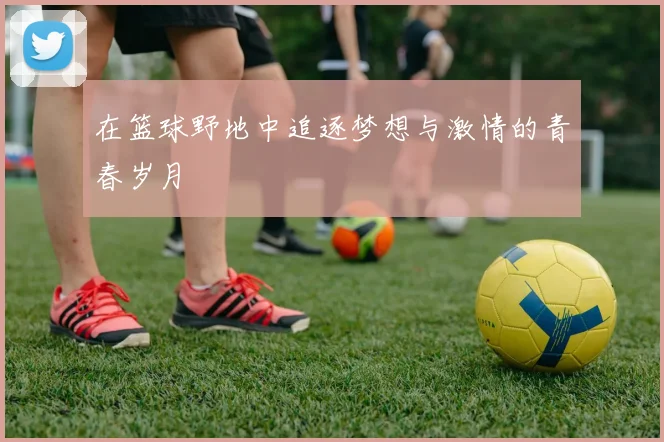 在篮球野地中追逐梦想与激情的青春岁月