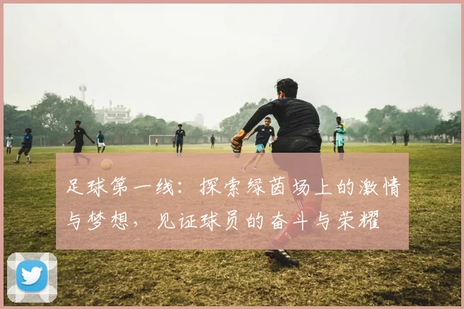 足球第一线：探索绿茵场上的激情与梦想，见证球员的奋斗与荣耀