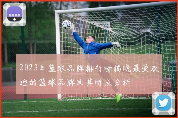 2023年篮球品牌排行榜揭晓最受欢迎的篮球品牌及其特点分析