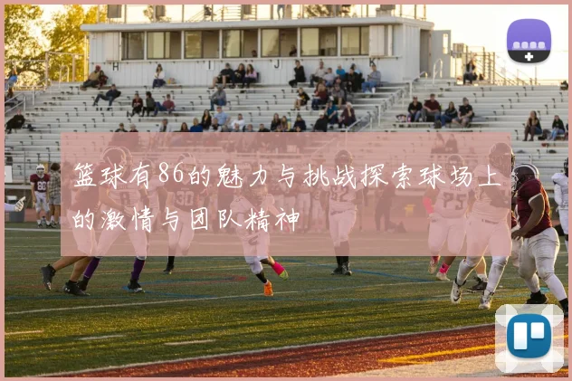 篮球有86的魅力与挑战探索球场上的激情与团队精神