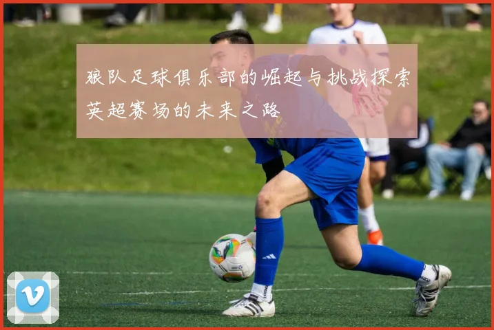 狼队足球俱乐部的崛起与挑战探索英超赛场的未来之路