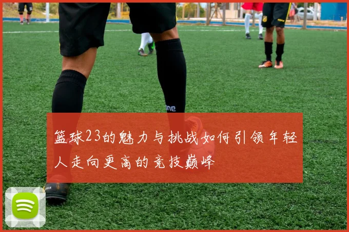 篮球23的魅力与挑战如何引领年轻人走向更高的竞技巅峰
