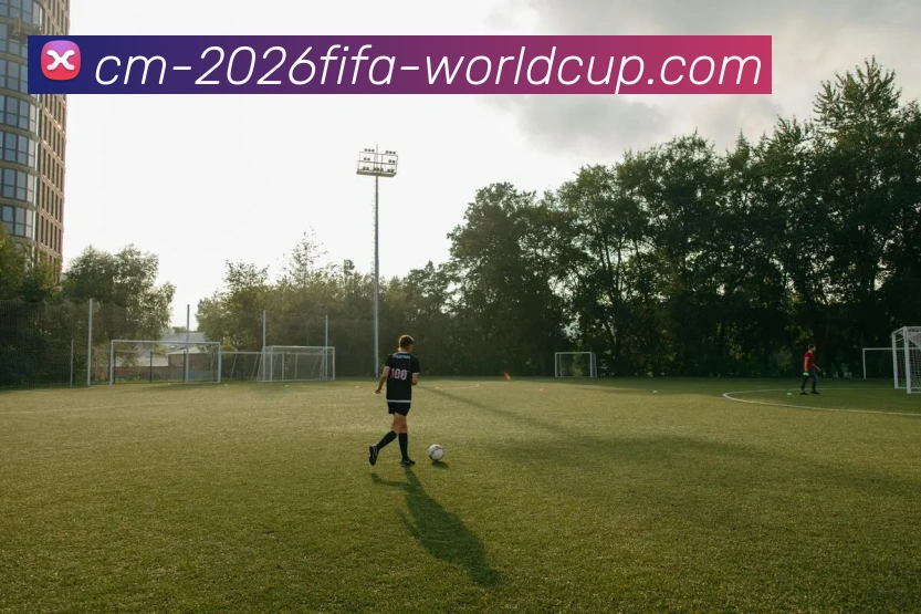 多媒体互动体验